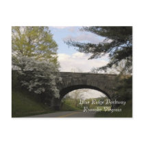 Blue Ridge Parkway Postcard