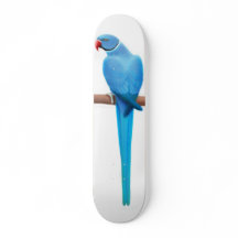 Parakeet Skateboard