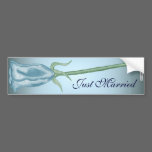 Blue Rose (2) bumper stickers