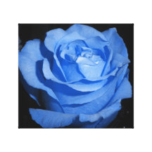 Blue Rose Canvas Print