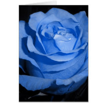 Blue Rose Cards