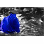 Blue Rose On Left Side Silver Background Cut Outs