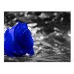 Blue Rose On Left Side Silver Background Postcards
