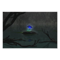 Blue Rose Photo Print