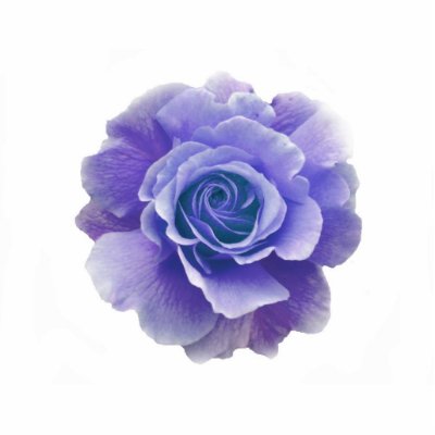 Blue Rose Pin Cut Out by ggbythebay