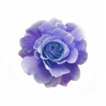 Blue Rose Pin photo sculptures
