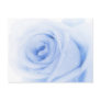 Blue rose postcard