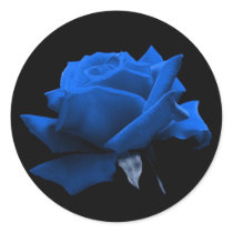 Blue Rose Stickers