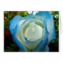 BLUE ROSES CARDS