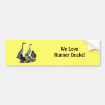 Blue Runner Duck Family Bumper Stickers