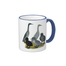 Blue Runner Duck Family Coffee Mugs