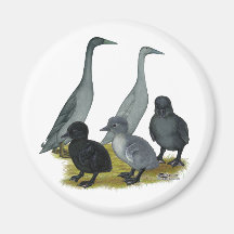 Blue Runner Duck Family Refrigerator Magnets