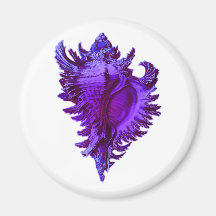 Blue Sea Shell Fridge Magnets