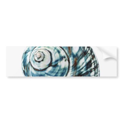 Blue Sea Shell On White Background Bumper Stickers by lifesphere