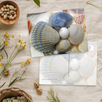 Blue Seashell Photography Postcards