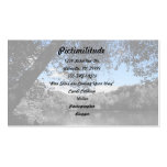Blue Skies and Lakes Business Card
