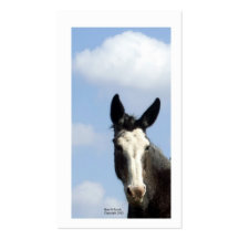 Blue Sky and Roan Bald Face Mule Business Card Templates