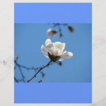 Blue Sky custom Flyer paper Spring Magnolia Flower