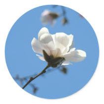 Blue Sky Floral Magnolia Flower stickers Spring