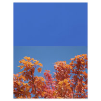 Blue Sky Flyers Mailing Brochures Autumn Leaves