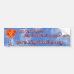 Blue Sky Help Solve the Mystery CRPS RSD Balloons Bumper Stickers