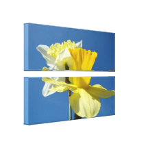 Blue Sky Spring canvas art prints Daffodil Flowers Stretched Canvas Print