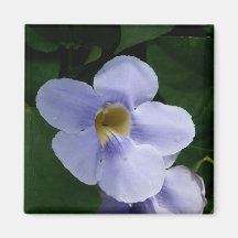 Blue Sky Vine Flower Refrigerator Magnets