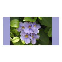 Blue Sky Vine with Raindrops Photo Cards