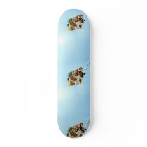 Blue Skys and Green Lights Skate Decks