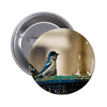 Blue Sparrows Pin