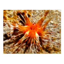 Blue Spotted Urchin Postcard
