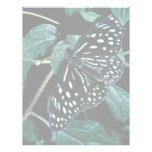 Blue tiger, India Letterhead