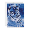 Blue Tiger Invitation