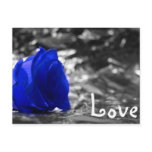 Blue tinted rose on silver back with Love text Postcards