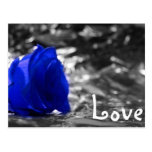 Blue tinted rose on silver back with Love text Postcards