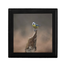Blue Tit Gift Box