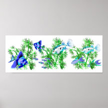 Blue Tropical Fish in Plants Posters