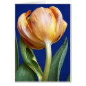 blue tulip cards