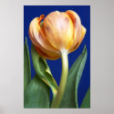 blue tulip print