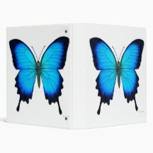 Blue Ulysses Butterfly Avery Binder
