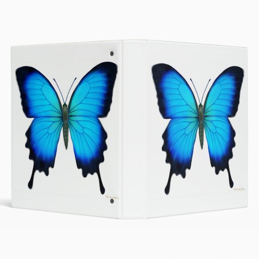 Blue Ulysses Butterfly Avery Binder