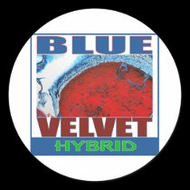 BLUE VELVET HYBRID stickers