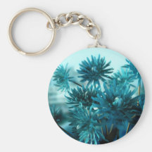 Blue View Keychains