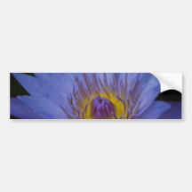 Blue Water Lily Bumper Sticker