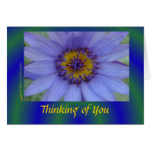 Blue Water Lily Flower Sympathy Card (notecard)