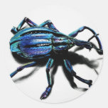 Blue Weevil Products Sticker