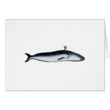 Blue Whale Illustration (spouting) Card