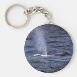 Blue whale keychains
