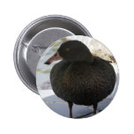Blue Whio buttons