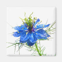 Blue Wildflower Square Magnet